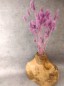 Preview: Trockenblumen-Lagurus-lila-stehend